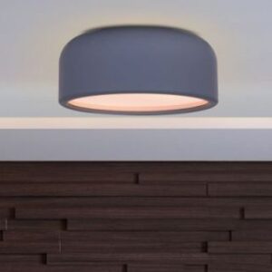 14″ Artistic Smart LED Ceiling Lights