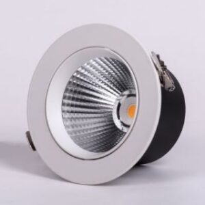 Delia- 10W White (2700-6300K) 3 Color Tunable & Dimmable LED with Remote Control Recess COB Downlights (DL01-10154)