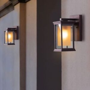Choose Wisely (Indoor / Outdoor) Wall Light